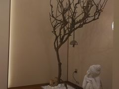 -OMSPA(盛景尚峰店)