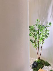 -汉棠汉方·美肤调体