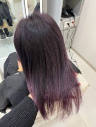 -蚂蚁造型沙龙