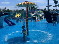 -秦皇岛乐岛海洋王国