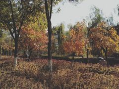 -雁滩公园