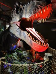 -恐龙探索乐园(磁器口店)