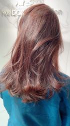 -潘多拉Hairsalon