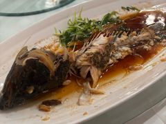 龙趸石斑鱼-湖锦酒楼·旗舰店(三阳总店)