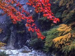 -青峰峡国家森林公园