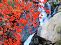 -九如山休闲旅游度假区