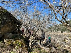 -广州市流溪河国家森林公园