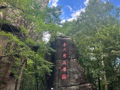 -汤旺河林海奇石景区
