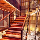 换装拍照+吃饭👘店里都是🫣摇曳的樱花美眉