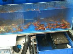 -羊家胡同·龙虾烧烤火锅(龙汇路店)