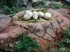 -湖南省地质博物馆