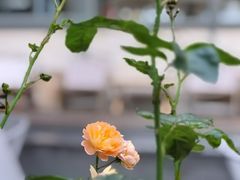 -Beans Solo豆号咖啡(百家湖花园店)