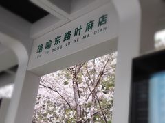 -华中科技大学光谷体育馆
