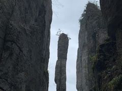 -恩施大峡谷