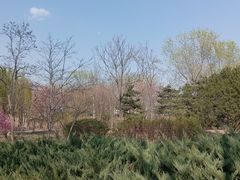 -绿堤公园