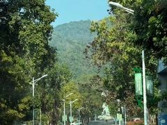 -海南霸王岭国家森林公园