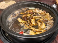 -滇野云南野生菌餐厅(陕西南路店)