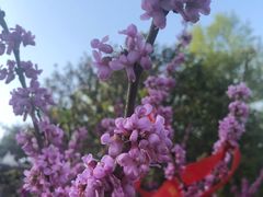 -韶山毛泽东同志故居