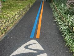 -陆家嘴中心绿地