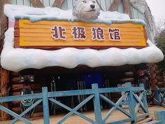 -海合安成都极地海洋公园