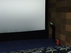 -幸福蓝海国际影城(芜湖IMAX店)