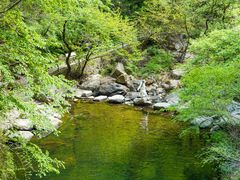 -少华山国家森林公园