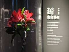 -中国湿地博物馆