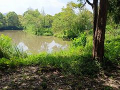 -西溪国家湿地公园