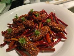 -辛香汇·现炒川菜(淮海路百盛店)