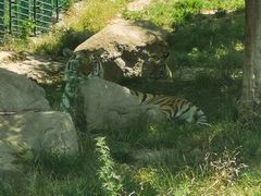 -西安秦岭野生动物园