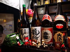 -金龙咖喱