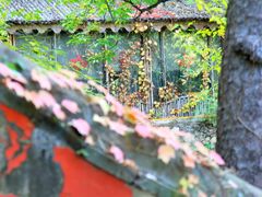 -潭柘寺景区