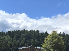 -五营红松林海景区