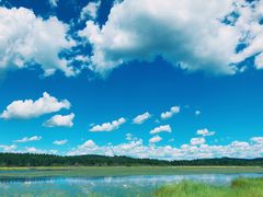 -塞罕坝国家级自然保护区