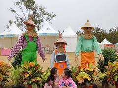 -上海长兴岛郊野公园