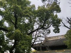 -西园戒幢律寺