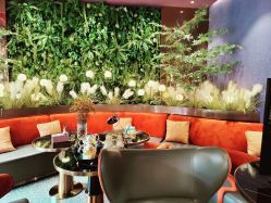 -花隐·美芙炫海菲秀皮肤管理中心