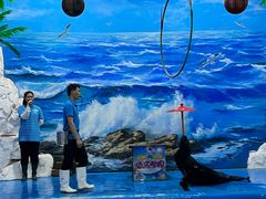 -左海海底世界