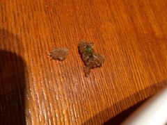 -金掌勺东北菜(格兰晴天店)