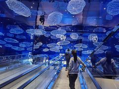 -盒马X会员店(上海森兰商都店)