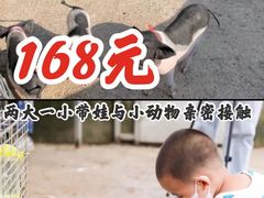 -前小桔亲子创意农场·草莓采摘·露营烧烤