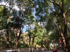 -上海佘山国家森林公园西佘山园