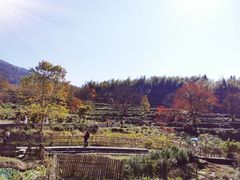 -塔川景区