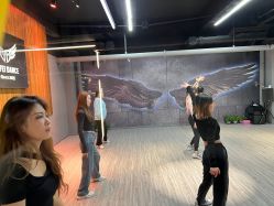 -欲非舞蹈
