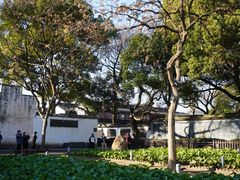 -绍兴鲁迅故里·沈园景区