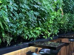 -Seesaw Coffee(环贸iapm店)