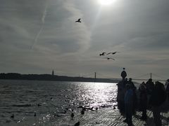 -商业广场(Praça do Comércio)