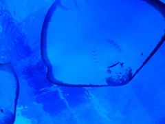 -海合安武汉极地海洋公园