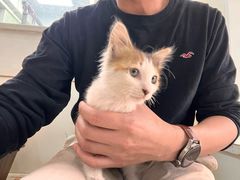 -瑞鹏·疫苗·绝育·宠物医院(金沙洲店)