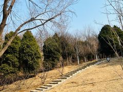 -大连植物园